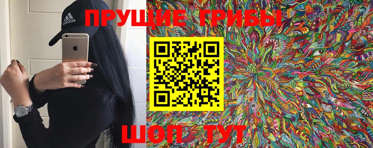 Псилоцибиновые грибы MAGIC MUSHROOMS  Вход с VPN  Тавда 